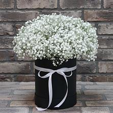 Цветочная композиция из Гипсофила в шляпной коробке в ЗЯБ Набережные Челны